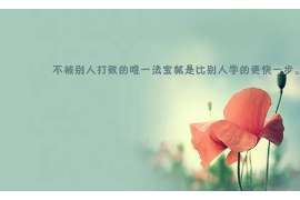 杜尔伯特小三调查